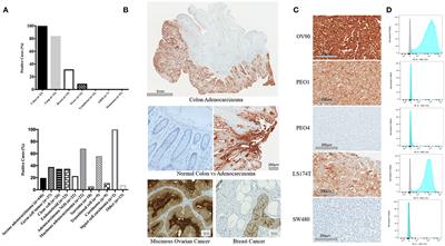 Evaluation of the Anti-Tumor Activity of the Humanized Monoclonal Antibody NEO-201 in Preclinical Models of Ovarian Cancer